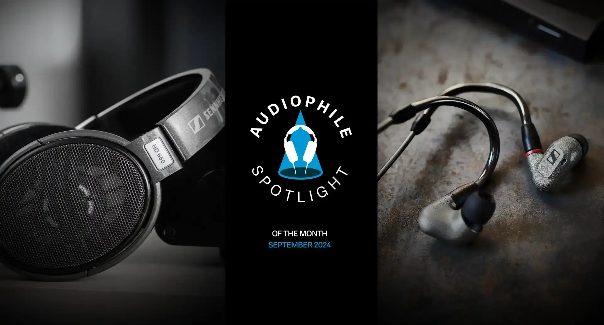 IE 600 & HD 650: our featured audiophile spotlight products of the month