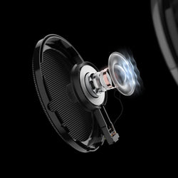 HD 650 Open Back Over Ear Headphones